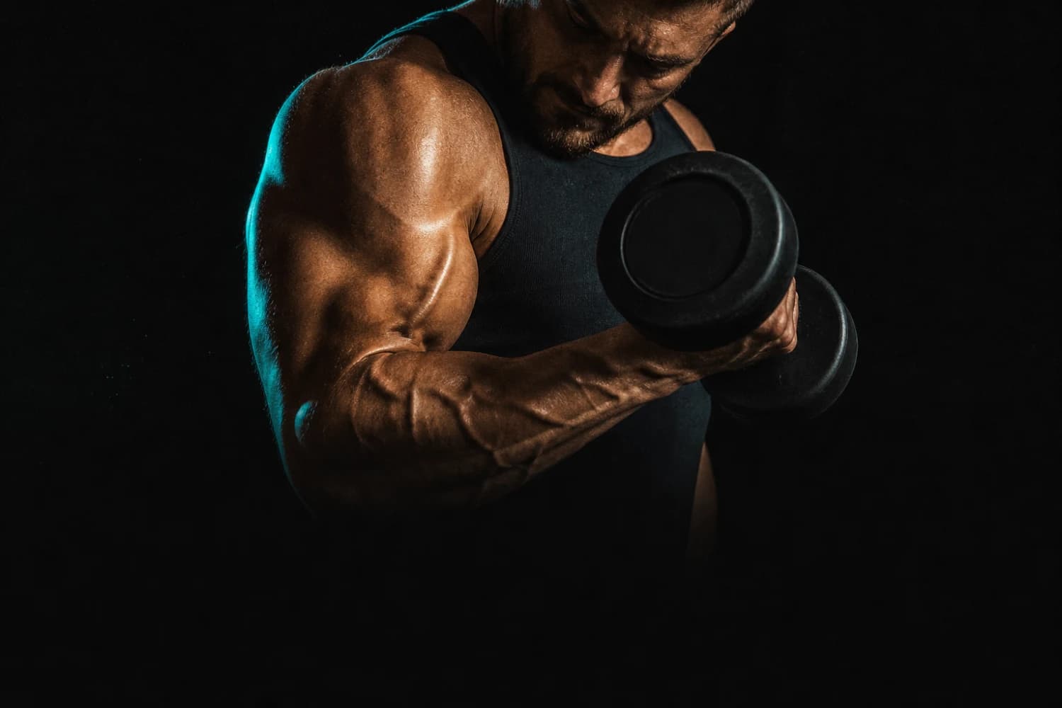 Arms Day