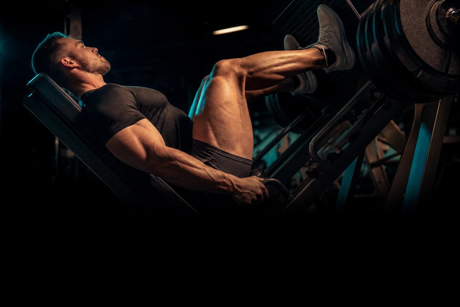 Lower Body